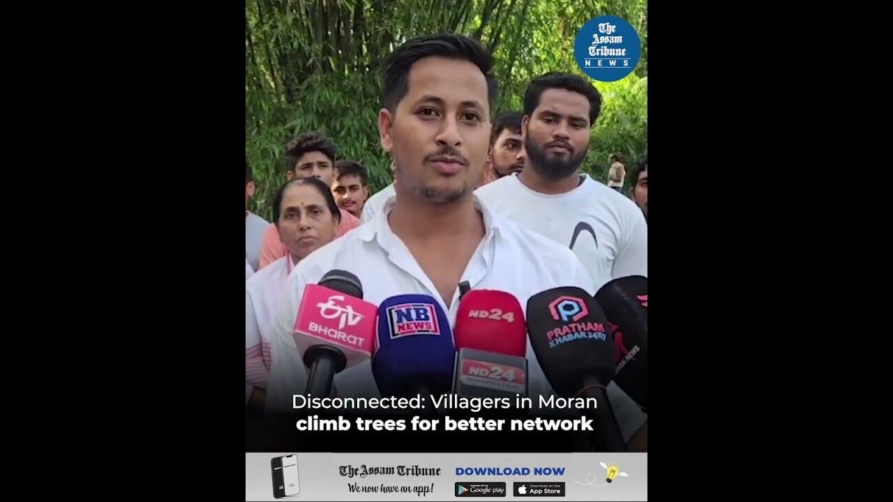 Disconnected: Villagers in Moran climb trees for better network