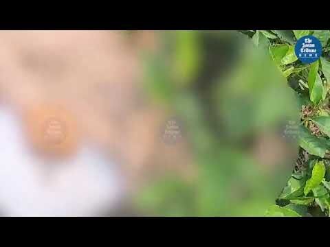 Three killed in elephant attack in Assams Dhekiajuli