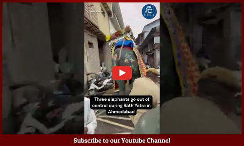#VIRAL | Three elephants go out of control during Rath Yatra in Ahmedabad
