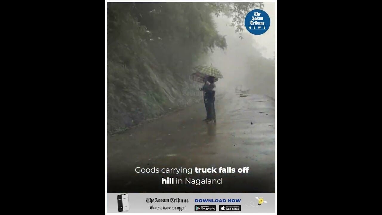 Goods carrying truck falls off hill in Nagaland