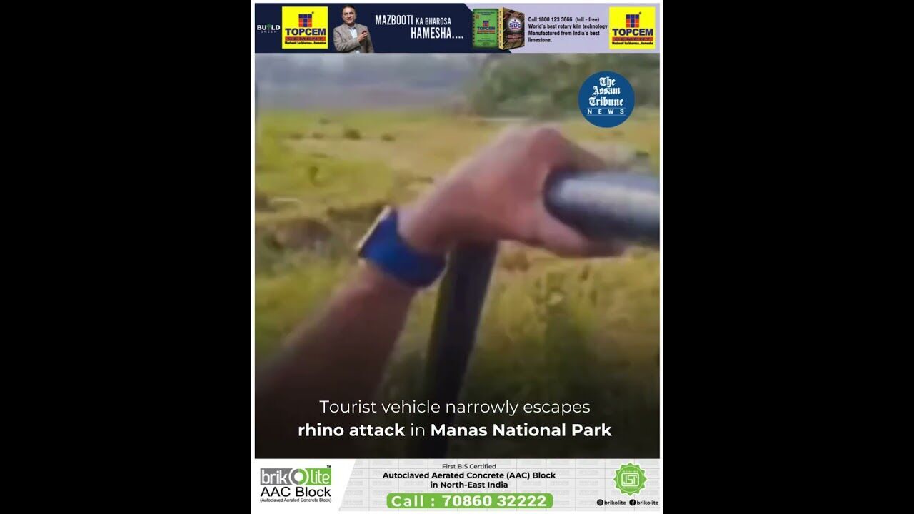 Tourist vehicle narrowly escapes rhino attack in Manas National Park