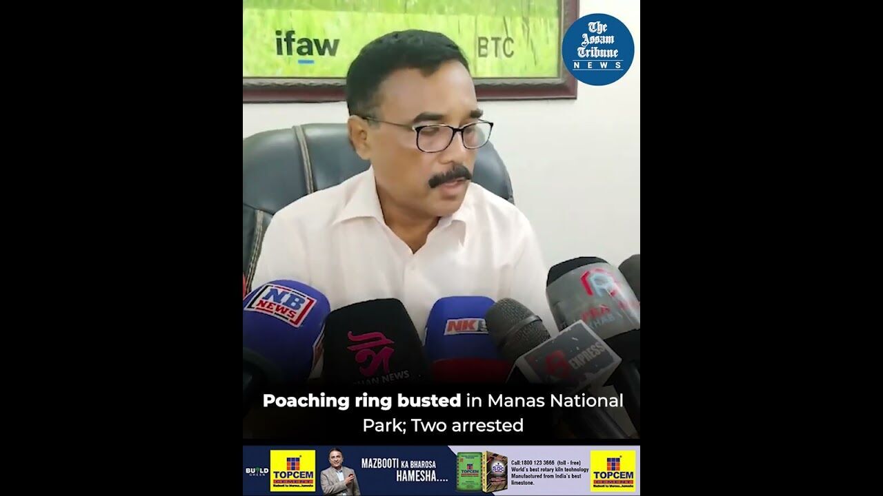 Poaching ring busted in Manas National Park; Two arrested