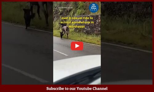 Schoolboy rides horse to school in Meghalaya