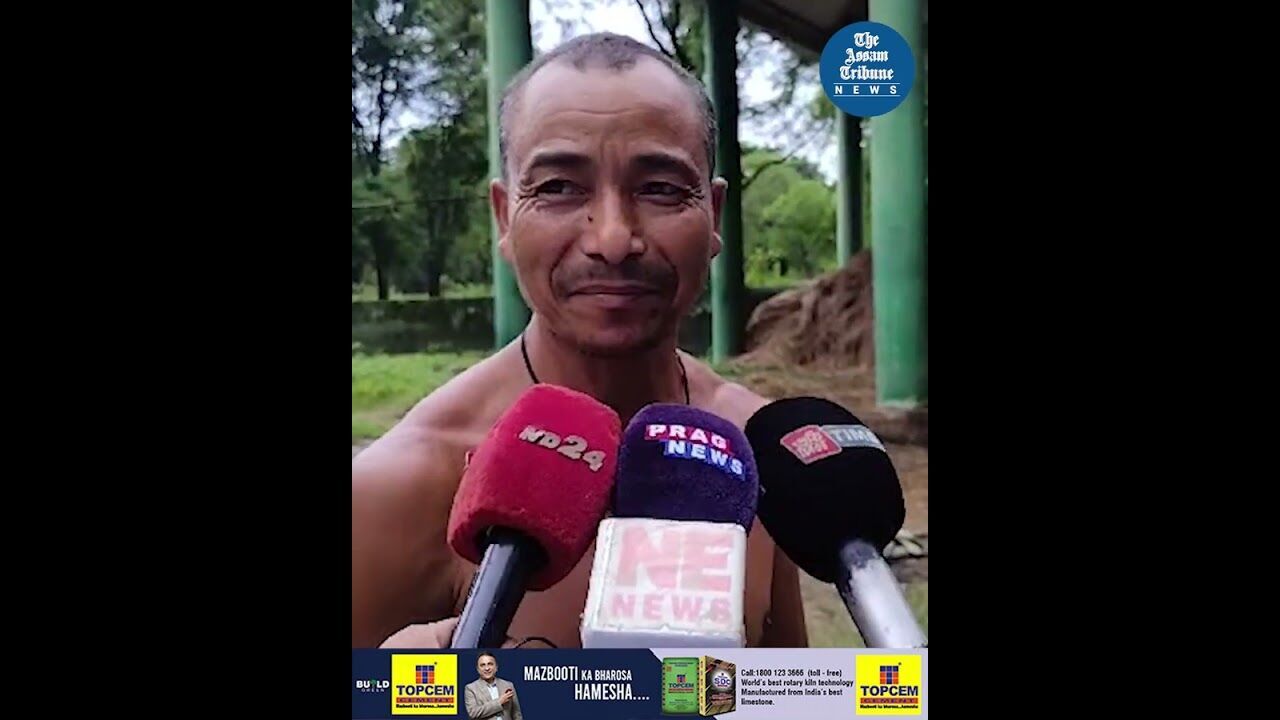 Rescued from the floods: Elephant calves find sanctuary in Manas National Park