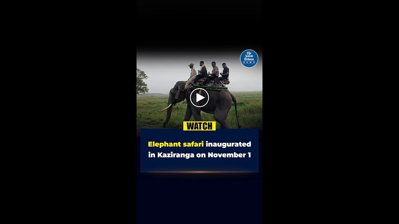 Elephant safari resumes at Kaziranga National Park #theassamtribune #livenews #news