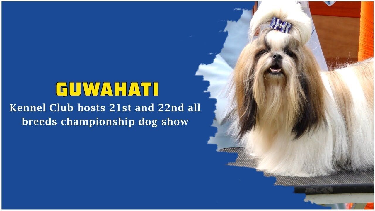Guwahati Kennel Club hosts 21st and 22nd all breeds championship dog show