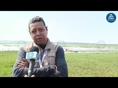 Video Report | Son Beel Utsav at Silchar