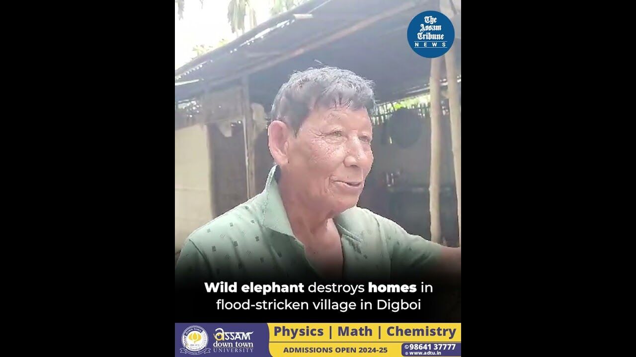 Wild elephant destroys homes in flood-stricken village in Digboi