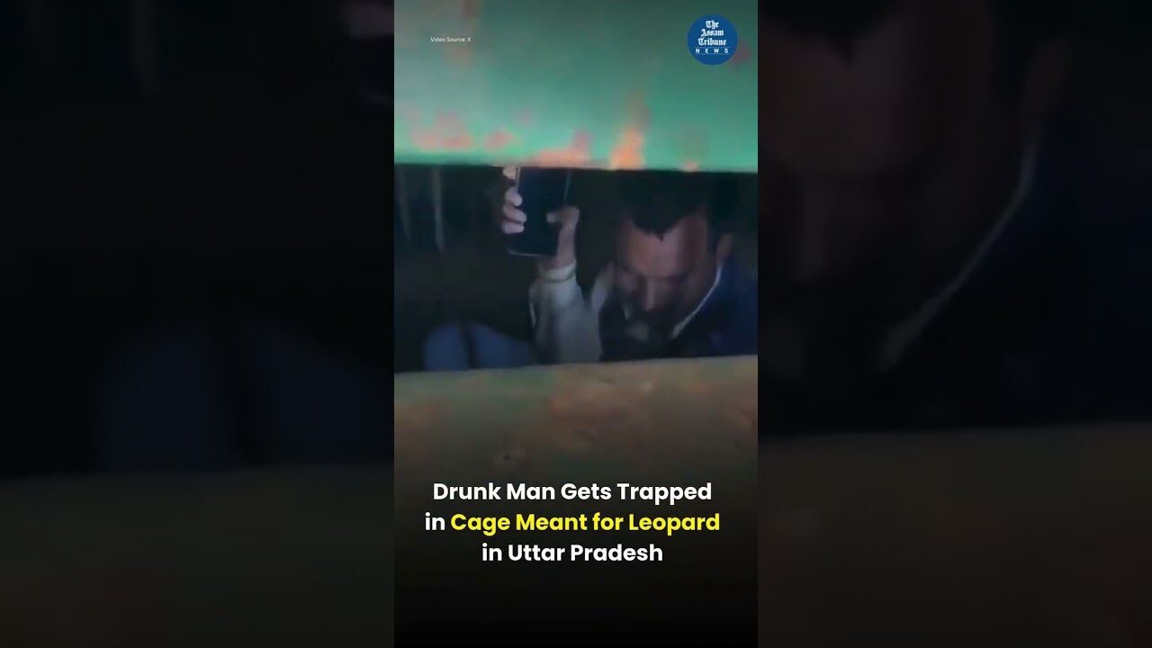 Intoxicated Man Traps Himself in Leopard Cage | Viral Video