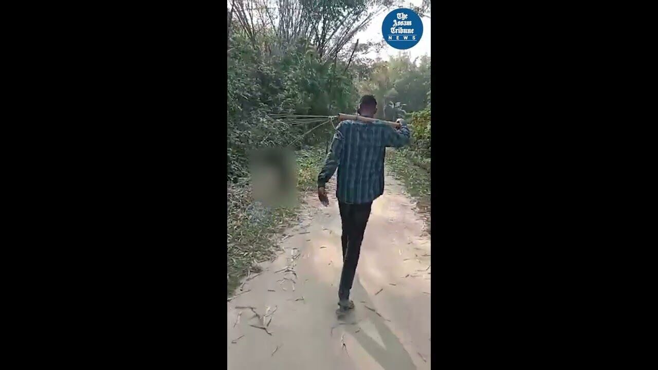 Tragic incident unfolds as man takes life of puppy in Assams Sonitpur; FIR filed