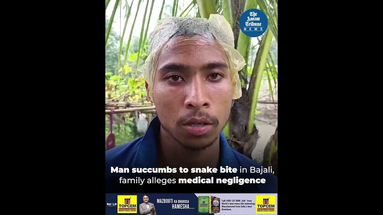 Man succumbs to snake bite in Bajali, family alleges medical negligence