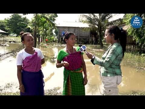 Stranded on Stilts: Residents of Ghunasuti left isolated amid annual floods