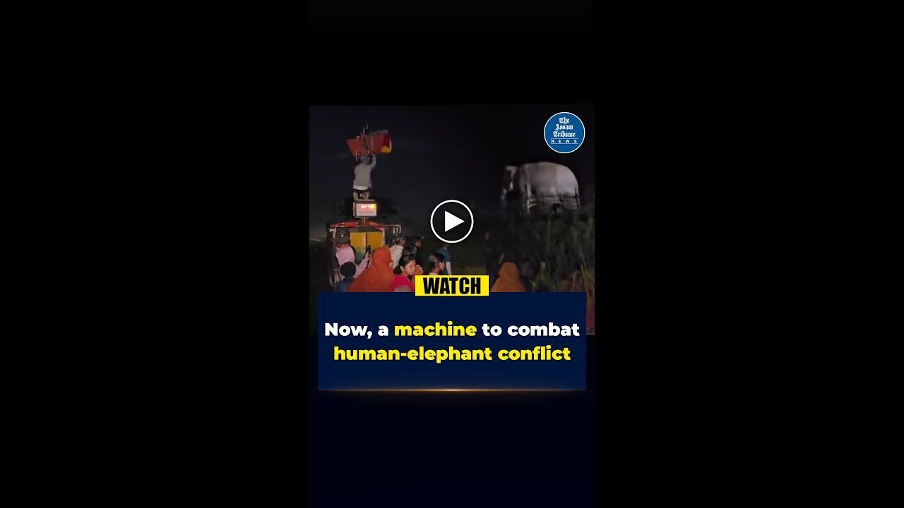 Now, a machine to combat human-elephant conflict