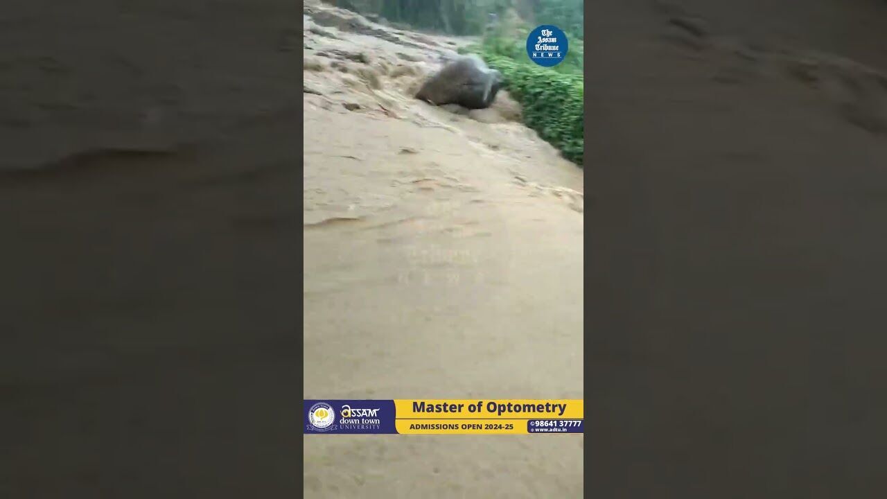 Haflong-Silchar link road washed away due to incessant rainfall