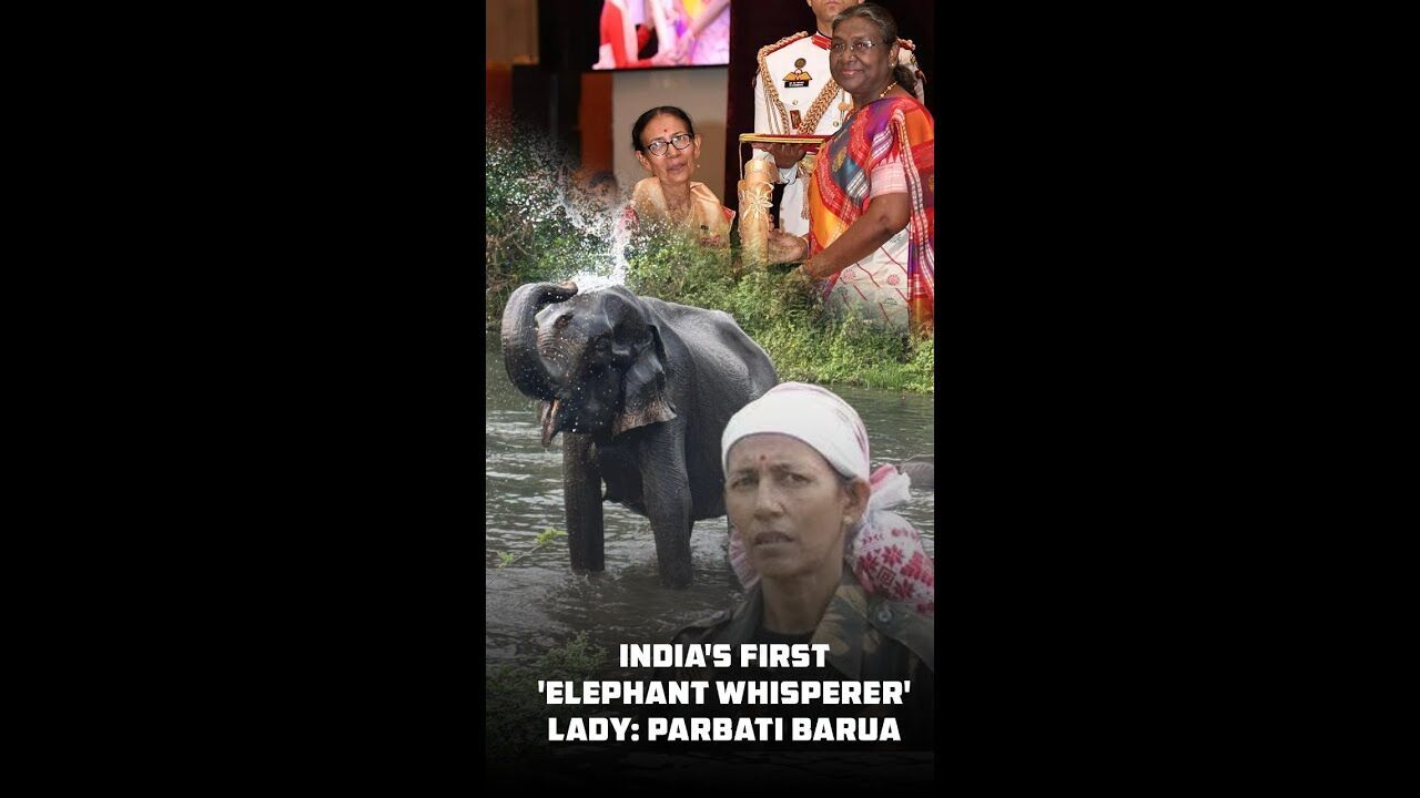 Indias First Elephant Whisperer Lady: Parbati Barua