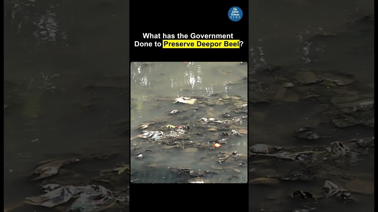 Is the government doing enough to preserve Deepor Beel? #guwahati